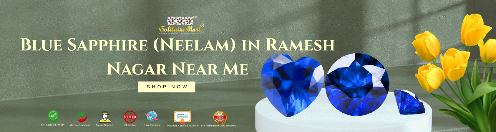 Blue Sapphire (Neelam) in Ramesh Nagar Near Me